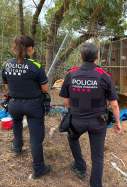 Mossos d'Esquadra i Policia Municipal de Girona baralles de galls