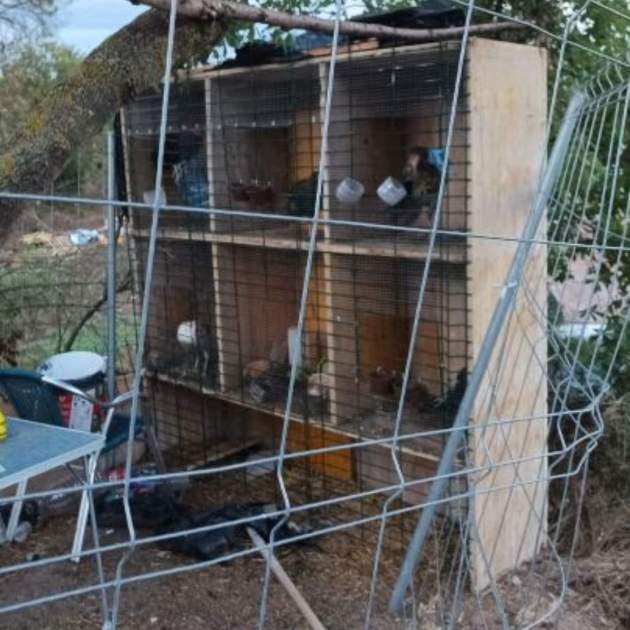Imatge del tancat amb galls / Policia Municipal de Girona