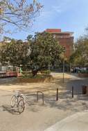 Plaça dels germans maristes Lloret de mar