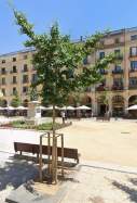 Plaça independencia girona