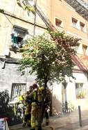 incendi a collblanc