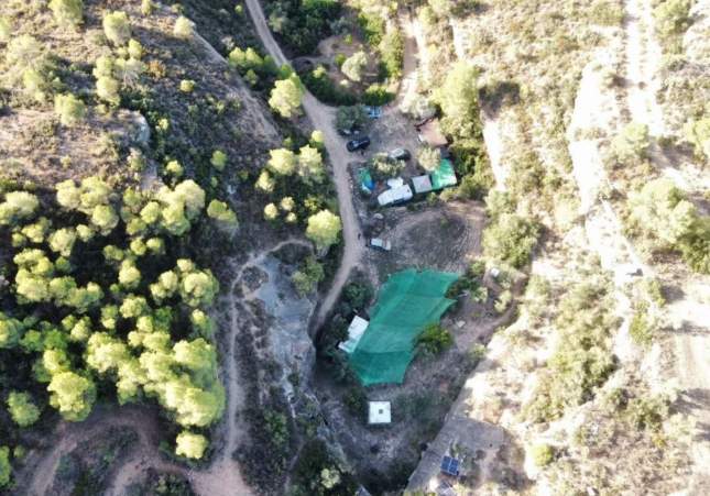 Vista aèria de la plantació a Bovera / Mossos d'Esquadra Vista aèria de la plantació a Bovera / Mossos d'Esquadra