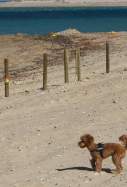 platja canina chiclana