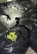 Marihuana II