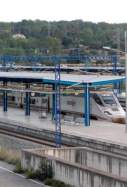 Ave camp de tarragona