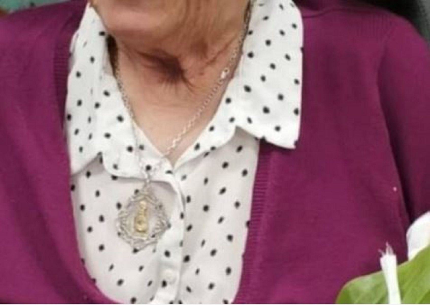 collar collar