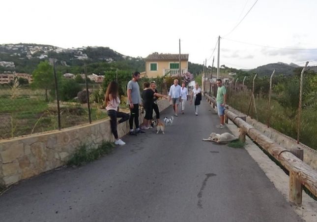 Ovelles mortes Andratx 2 Ovelles mortes Andratx 2
