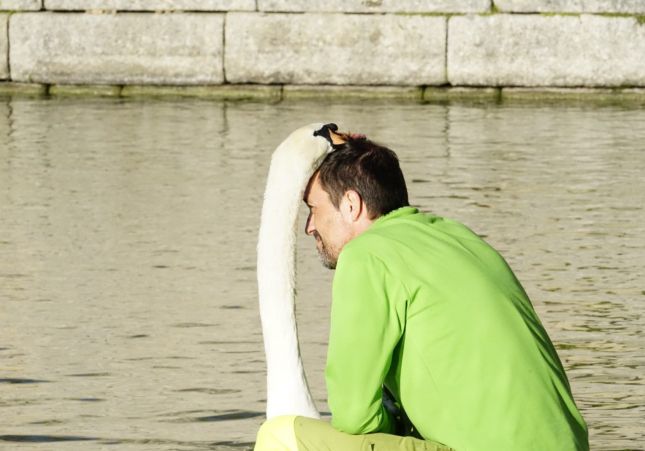 Raúl Cisne 3 Raúl Cisne 3