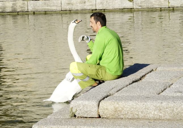 Raúl Cisne 4 Raúl Cisne 4