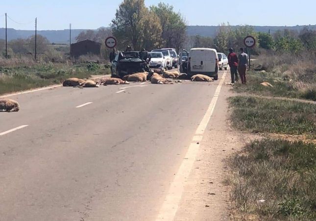 accidente Castelldans-Som Garrigues accidente Castelldans-Som Garrigues