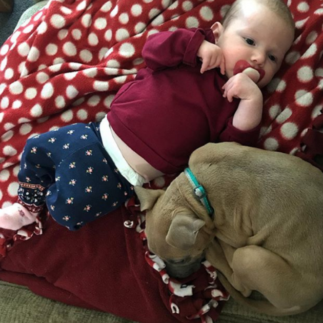 Nala Pitbull / Instagram Nala Pitbull / Instagram