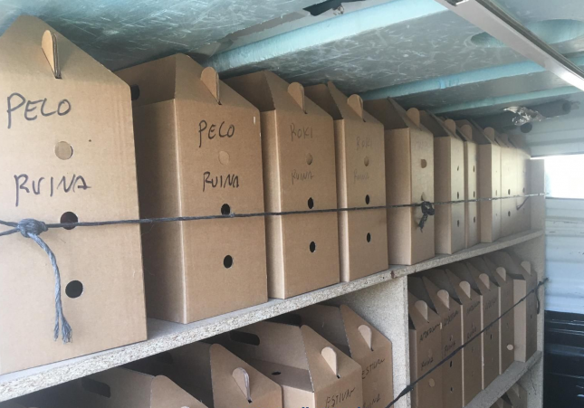 Las cajas donde guardaban los gallos / Mossos d'Esquadra