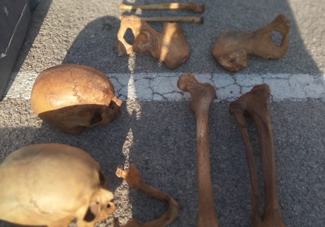 huesos|osos esqueleto huma contenedor vic barrio santa anna