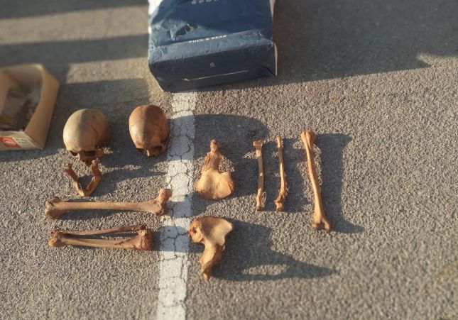 esqueleto huma huesos|osos contenedor vic barrio santa anna